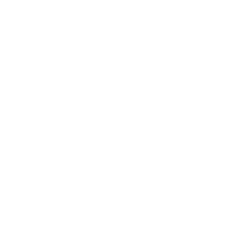 ce logo Kingston